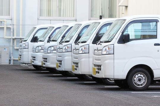 Aligned light truck delivery vehicles